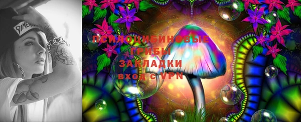 марки nbome Вяземский