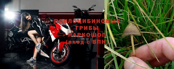 гашик Ступино
